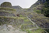 Inca Trail, Phuyupatamarka ruins 